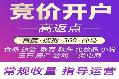 百度竞价SEM案例：揭秘高效广告投放技巧